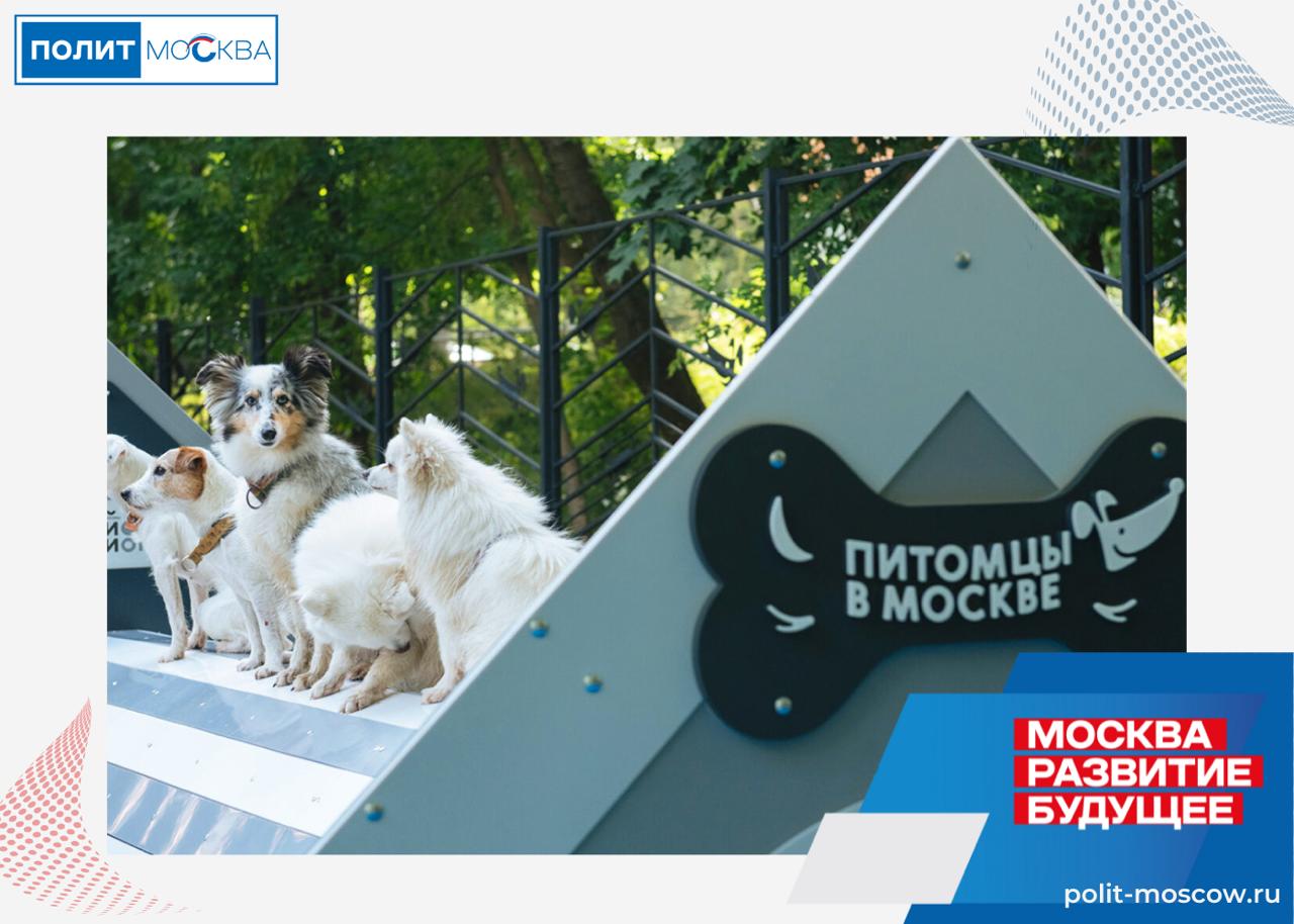 Более 20 площадок обустроят до конца года в рамках проекта «Питомцы в Москве» До конца года в столице планируют обустроить более 20 площадок для прогулок с собаками в рамках проекта «Питомцы в Москве». Первая уже открылась на юге города — на Каспийской улице в районе Царицыно. «Старую площадку обновили по просьбам жителей: установили современные тренажеры для занятий с четвероногими любимцами и оборудовали места для отдыха. Территория стала больше в три раза, благодаря чему здесь теперь можно проводить мастер-классы кинологов и другие мероприятия для владельцев домашних животных», — рассказала заместитель мэра Москвы Наталья Сергунина. Новое пространство отвечает самым высоким стандартам комфорта и функциональности. Особое внимание уделили покрытию. В основной части — газон для активных игр, а на территории для тренировок использовали резиновую крошку с амортизирующими свойствами, которая минимизирует риск травм. ПолитМосква. Подписаться