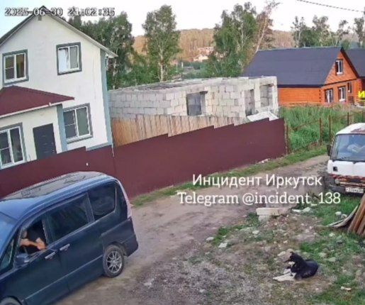 В Иркутском районе мужчина застрелил чужую собаку из-за якобы покусанного скота Сотрудники полиции задержали подозреваемых Читать подробнее на сайте...
