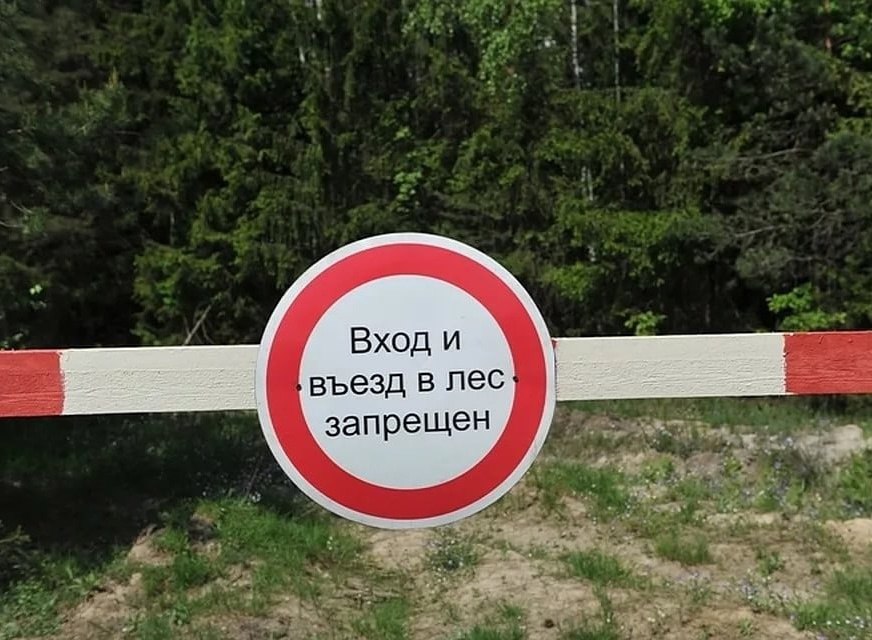 В Улан-Удэ до 17 июля продлили запрет на посещение лесов. Об этом сообщает пресс-служба городской администрации. В этот период в городских лесах и прилегающих к ним территориях нельзя разводить костры и проводить пожароопасные работы с использованием открытого огня. Речь в том числе идет о сжигании порубочных остатков, мусора и сухой травы, проведении сельхозпалов и приготовлении пищи. При этом граждане могут использовать сквозные проезды на дорогах общего пользования, посещать острова Комсомольский и Богородский, футбольное поле на Верхней Березовке, базы отдыха, стадионы, детские оздоровительные лагеря и здравницы, тропы для скандинавской ходьбы, а также тропу «Юбилейная» и тропу «Здоровья». #бурятия