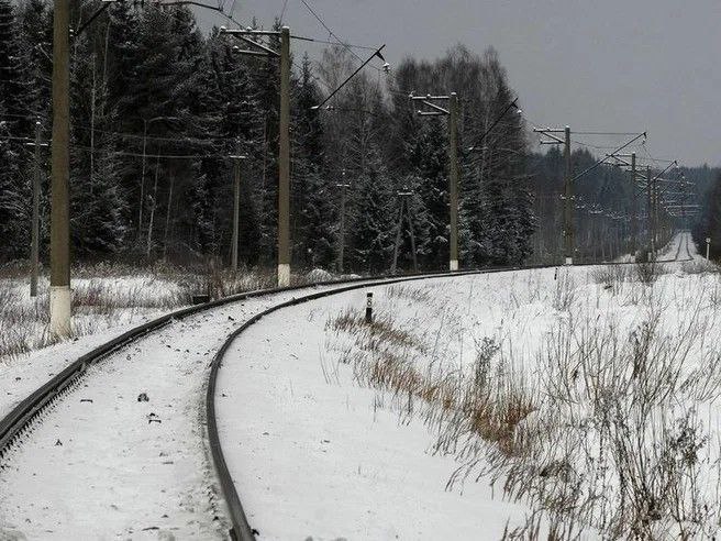 В Красноярском крае вынесен приговор 17-летнему подростку за попытку диверсии железной дороге.  Судом и следствием установлено, что в марте 2024 года подсудимый и его несовершеннолетний знакомый получили задание от неизвестного за денежное вознаграждение устроить диверсию на ж/д путях. Они попытались взломать релейный и батарейный шкафы между станциями Ачинск-1 и Тарутино.  Сотрудники правоохранительных органов успели задержать фигурантов непосредственно на месте преступления, предотвратив запланированные действия.  Суд признал старшего подростка виновным в покушении на совершение диверсии и приговорил его к четырем годам пребывания в воспитательной колонии.