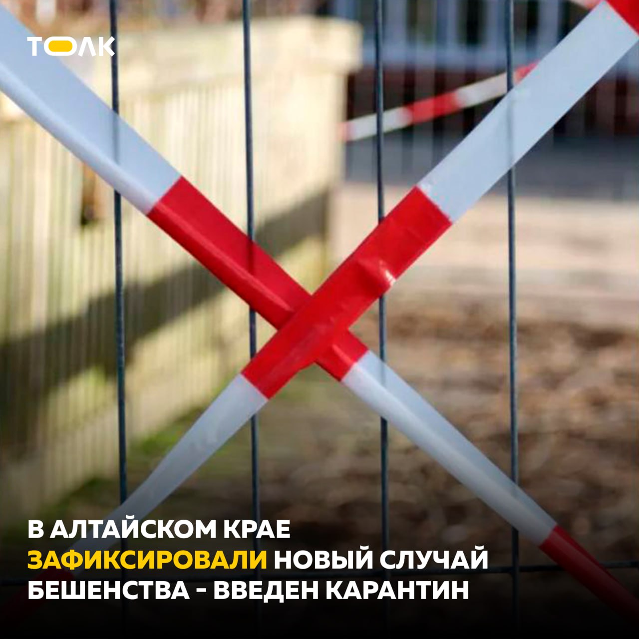В Солтонском районе введён карантин из-за бешенства Новый очаг бешенства выявлен в личном хозяйстве на улице Боровой в селе Новая Ажинка. Село признано неблагополучным, введён карантин и действуют ограничительные меры. Они продлятся до ликвидации всех заражённых или подозрительных животных, а затем ещё 60 дней. Отмечается, что с начала 2025 года в Алтайском крае зафиксировано более 10 случаев бешенства — часть из них недалеко от Барнаула. Для сравнения: за весь 2024 год зарегистрировали 13 случаев. ТОЛК