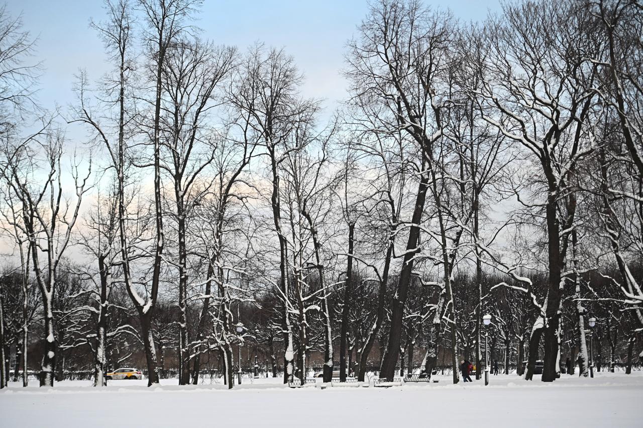 Батамай Оймякон и Усть Нера стали самым холодными местами в Якутии По информации на 09 00 часов 4 января столбики термометров упали до 45 градусов в Верхоянске селе Крест Хальджай Намцах и Покровске На градус холоднее в Охотском Перевозе Жиганске Саскылахе и Чурапче 48 градусный мороз зафиксирован в Бестяхской Звероферме Жилинде и Ытык Кюель Рекорд за утро у Батамая Оймякона и Усть Неры здесь столбики термометров замерли на отметке 49 градусов Фото Алексей Булатов