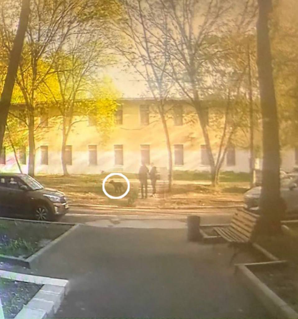 Москвичку оштрафовали за неубранную мочу питомца Это первый случай в России Между соседями давно вспыхнул конфликт из за выгула животных Одна из женщин заявила что убирать экскременты недостаточно С видеозаписью она пошла в правоохранительные органы Инспекторы установили что хозяйка собаки не протерла за ней траву Теперь москвичка должна будет заплатить штраф 1 5 тысячи Москва сейчас Подписаться Прислать новость