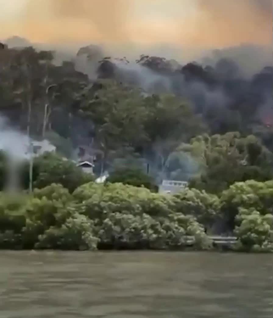 Лесные пожары в Австралии: аномальная жара вызывает бедствие в Тасмании и Новом Южном Уэльсе