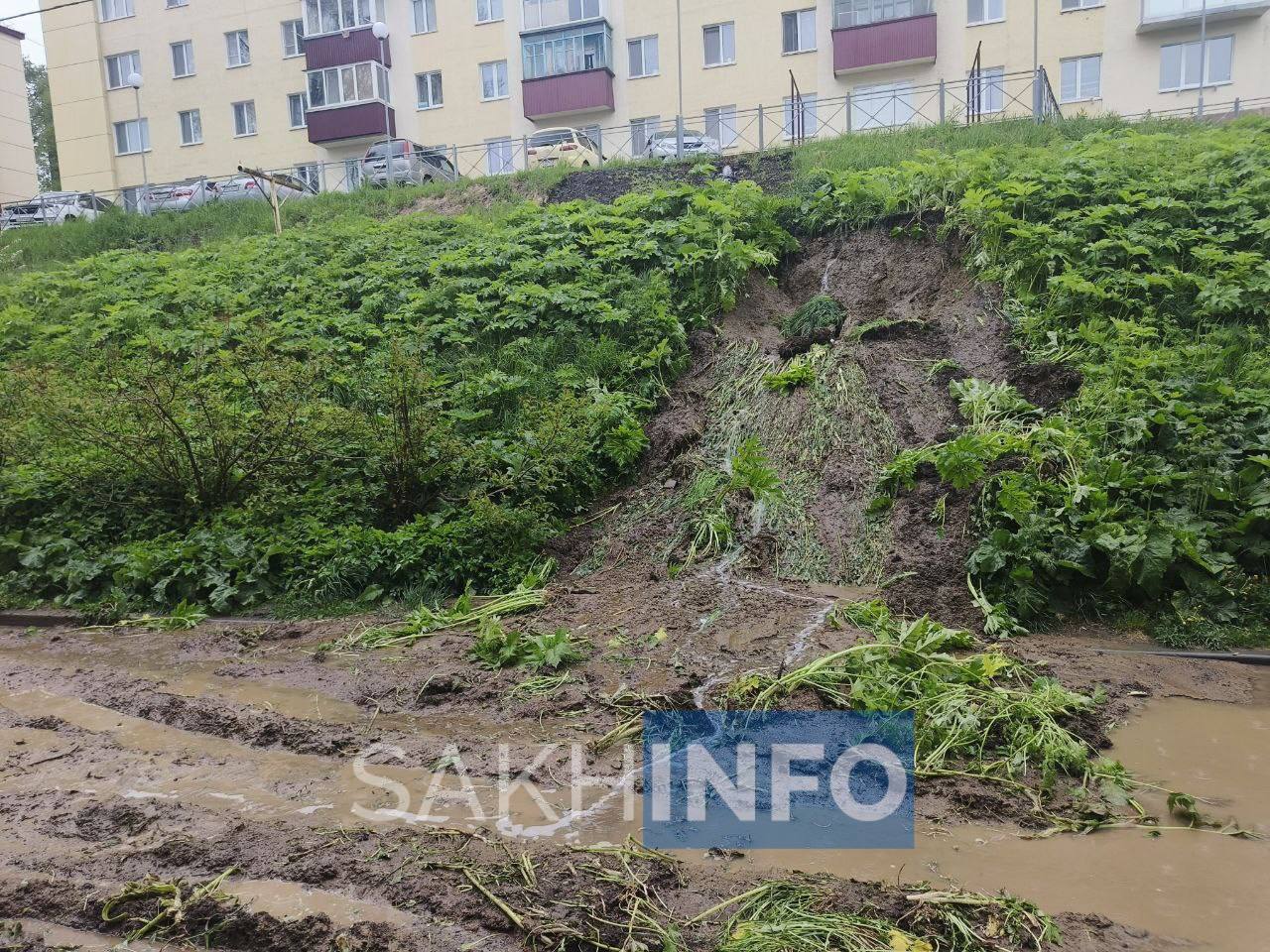 В одном из дворов жилого дома Корсакова сошел грязевой сель  Как стало известно «Сахалин Инфо», инцидент произошел у дома №54 по улице Советской.  Вода сюда поступает от дома №29 по улице Корсаковской, в котором в прошлом году произведен ремонт дворовой территории. При ремонте было предусмотрено 4 строковых трубы, но работает только одна. В связи с этим грунт не выдержал натиска дождя и обрушился.  Пострадавших нет, проезд не затруднен.  «Спрос будет с того, кто допустил ошибку - проектировщик, подрядчик или стройконтроль. А может и со всех сразу", —сообщила мэр Наталия Куприна.
