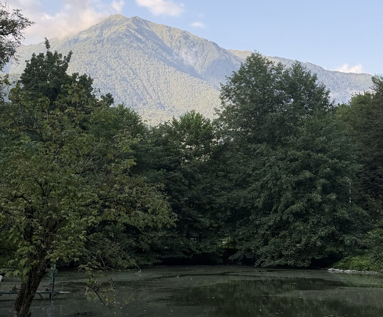 Новые особо охраняемые природные территории появятся в Сочи в 2026 году В Сочи завершается работа по созданию четырех новых особо охраняемых природных территорий местного значения Роща в Чемитоквадже Мамайский хребет и других Основа нашей долгосрочной стратегии поддержание и развитие экологического каркаса города Завершается работа по созданию четырех новых особо охраняемых природных территорий местного значения Роща в Чемитоквадже Мамайский хребет и других В 2026 году добавим еще три ООПТ сообщил глава города Андрей Прошунин