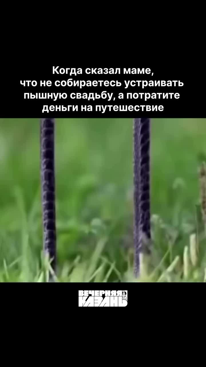 В Татарстане стартует программа грантов для молодых пар на организацию свадеб