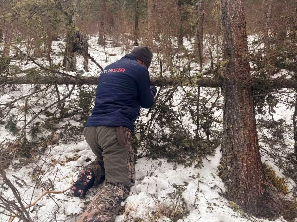 Проволочные петли из металлического тросика, установленные на кабаргу, и незаконную рубку леса обнаружили на территории Шавлинского заказника госинспекторы охотуправления и Сайлюгемского нацпарка во время рейда.   Материалы переданы в правоохранительные органы, сообщает пресс-служба парка.  Напомним, кабарга занесена в Красную книгу Республики Алтай, нарушители добывают ее ради мускусной железы, устанавливая запрещённые петли, в которые могут попасть снежные барсы, которые делят с кабаргой местообитания, особенно в бассейне реки Аргут, где проходил рейд.