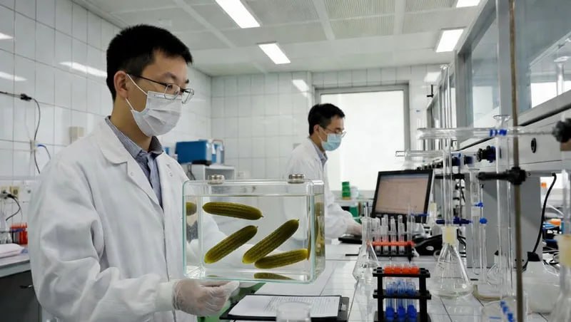 В Китае создали настолько экологически чистый аккумулятор что в его электролите можно было бы солить огурцы Вместо традиционных кислотных или щелочных растворов китайские учёные применили нейтральный pH 7 0 водный электролит на основе солей магния MgCl₂ или кальция CaCl₂ Батареи на водной основе не будут опасными и вредными Кстати история аккумуляторов формально началась с водных растворов ещё 226 лет назад с разработок Александра Вольты Возвращаться к корням всегда полезно чтобы по новому взглянуть на старые открытия У китайцев получилась полноценная аккумуляторная ячейка с рабочим напряжением около 2 2 В при этом она выдерживает более 120 000 циклов заряд разряд при токе 20 А г с минимальной деградацией ёмкости Статья опубликована 18 февраля 2026 года в журнале Nature Communications Мой Компьютер