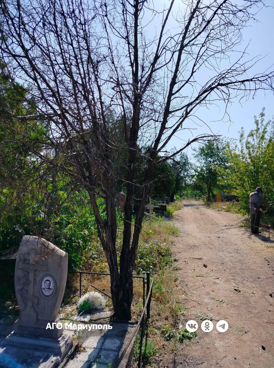 В Мариуполе продолжается работа по благоустройству ритуальных мест. Сотрудники местной ритуальной службы на днях провели комплексные мероприятия на территориях Мирненского и Талаковского кладбищ, а также в старой части Старокрымского кладбища.  Коммунальные работники очистили территории от мусора, произвели покос травы, удалили поросль и спилили сухие деревья. Эти действия значительно улучшили внешний вид кладбищ и создали более безопасные условия для посетителей, которые приходят почтить память своих родных и близких.  Источник: