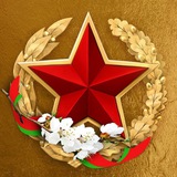 Аватар Телеграм канала: Министерство обороны Республики Беларусь