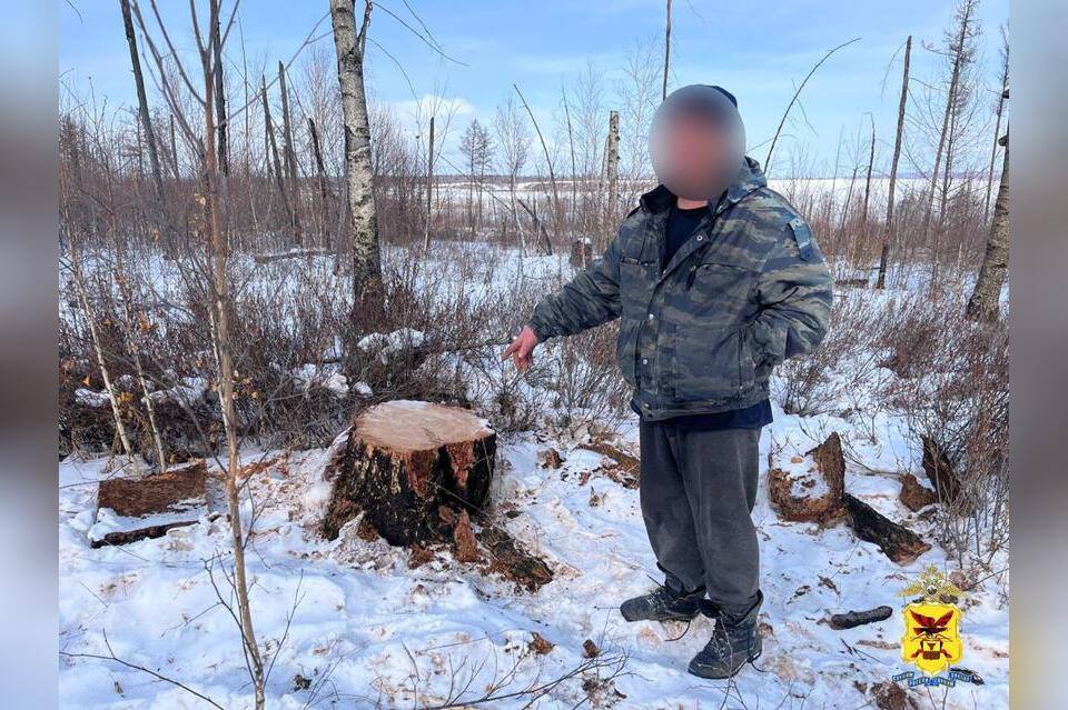 Нарубили дров на миллион рублей    Полиция задержала подозреваемых в незаконной рубке деревьев недалеко от поселка Ягодный на особо охраняемой природной территории.  Трое жителей Читинского района 1977, 1982 и 1995 годов рождения без соответствующего разрешения спилили 14 лиственниц, продав на дрова местному жителю.   Причиненный лесному фонду ущерб оценен на сумму около 1 миллиона рублей.  В ходе обыска по месту жительства одного из подозреваемых изъят автомобиль «ГАЗ-53», на котором перевозили спиленный лес, а также бензопилу.