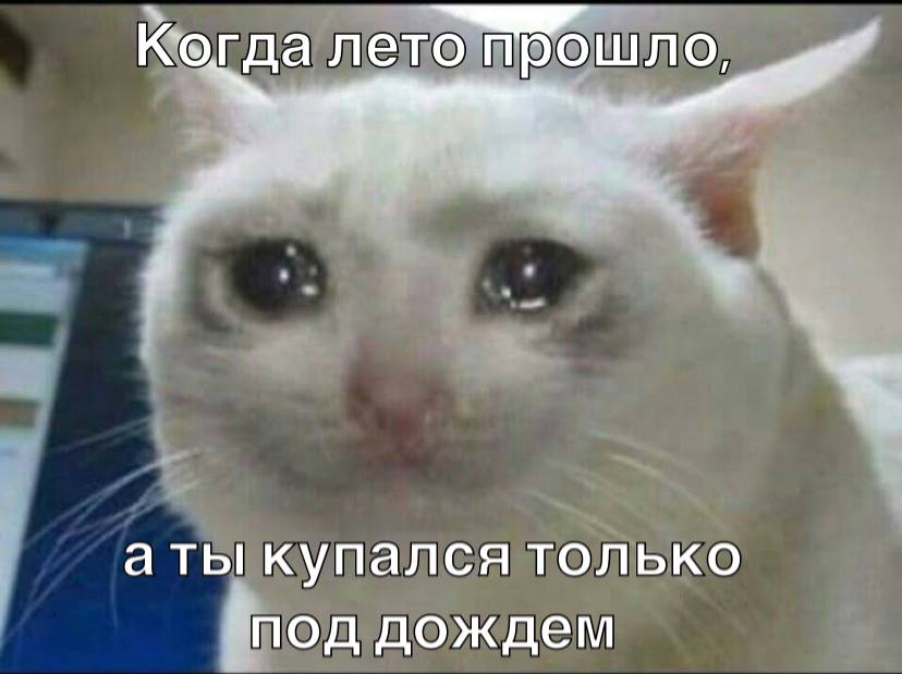 Минувшая суббота в Петербурге стала самым дождливым днём лета с 25 3 мм осадков С начала августа в городе выпало 105 мм что составляет 122 от нормы и занимает седьмое место среди самых дождливых августов XXI века сообщил синоптик Михаил Леус Подписаться Прислать новость