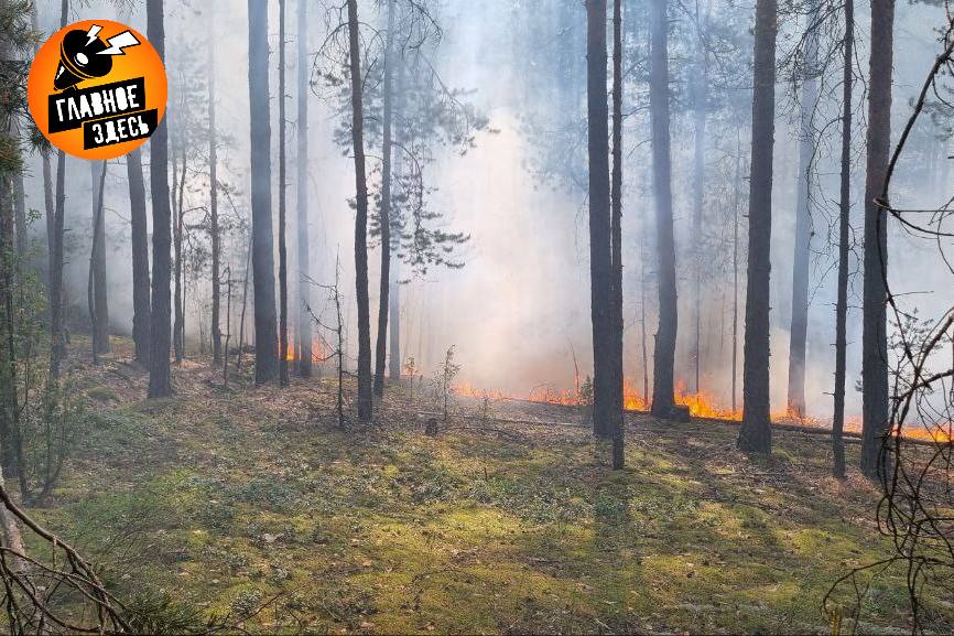 На улучшение состояния лесов в России будет выделено 70 млрд рублей Об этом заявил председатель правительства РФ Михаил Мишустин на встрече с руководителем Федерального агентства лесного хозяйства Рослесхоза Улучшение состояния лесов по всей стране это важнейшая задача которую перед нами ставит президент До 2030 года предусмотрено на сохранение лесов на две трети больше средств чем в предыдущие пять лет Примерно 70 млрд рублей до 2030 года сказал Мишустин Главное здесь Подписывайтесь