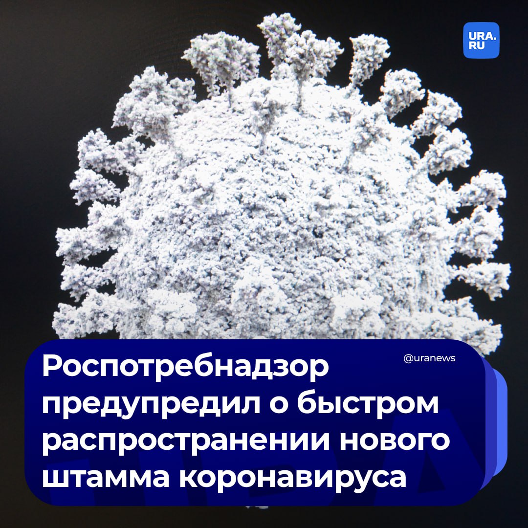 Новый вариант коронавируса ХЕС быстро распространяется. Его симптомы схожи с предыдущими разновидностями вируса. Среди них: лихорадка, боль в горле, кашель, потеря обоняния и аппетита, боли в теле, усталость, головная боль и насморк.  В Роспотребнадзоре отметили, что специалисты ведомства следят за распространением данного подвида коронавируса. «XEC был впервые обнаружен в Германии в июне 2024 года и с тех пор был выявлен в нескольких странах. Самые ранние случаи заболевания этим вариантом были зарегистрированы в Италии в мае, однако эти образцы были загружены в международную базу данных GISAID, отслеживающую варианты SARS-CoV-2, только в сентябре», — сообщили в пресс-службе ведомства ТАСС.