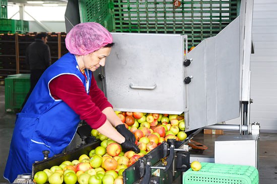 Более 37 тысяч тонн яблок нового урожая отправила Кабардино Балкария в другие регионы страны с августа по октябрь Республика увеличила поставки почти на треть   Впервые большая партия яблок была отправлена в Донецкую Народную Республику новый регион получил 18 тыс тонн плодов   10 2 тыс тонн отгрузили в Москву и Московскую область Также партии яблок из КБР доставили в Санкт Петербург Ленинградскую Свердловскую и Ростовскую области