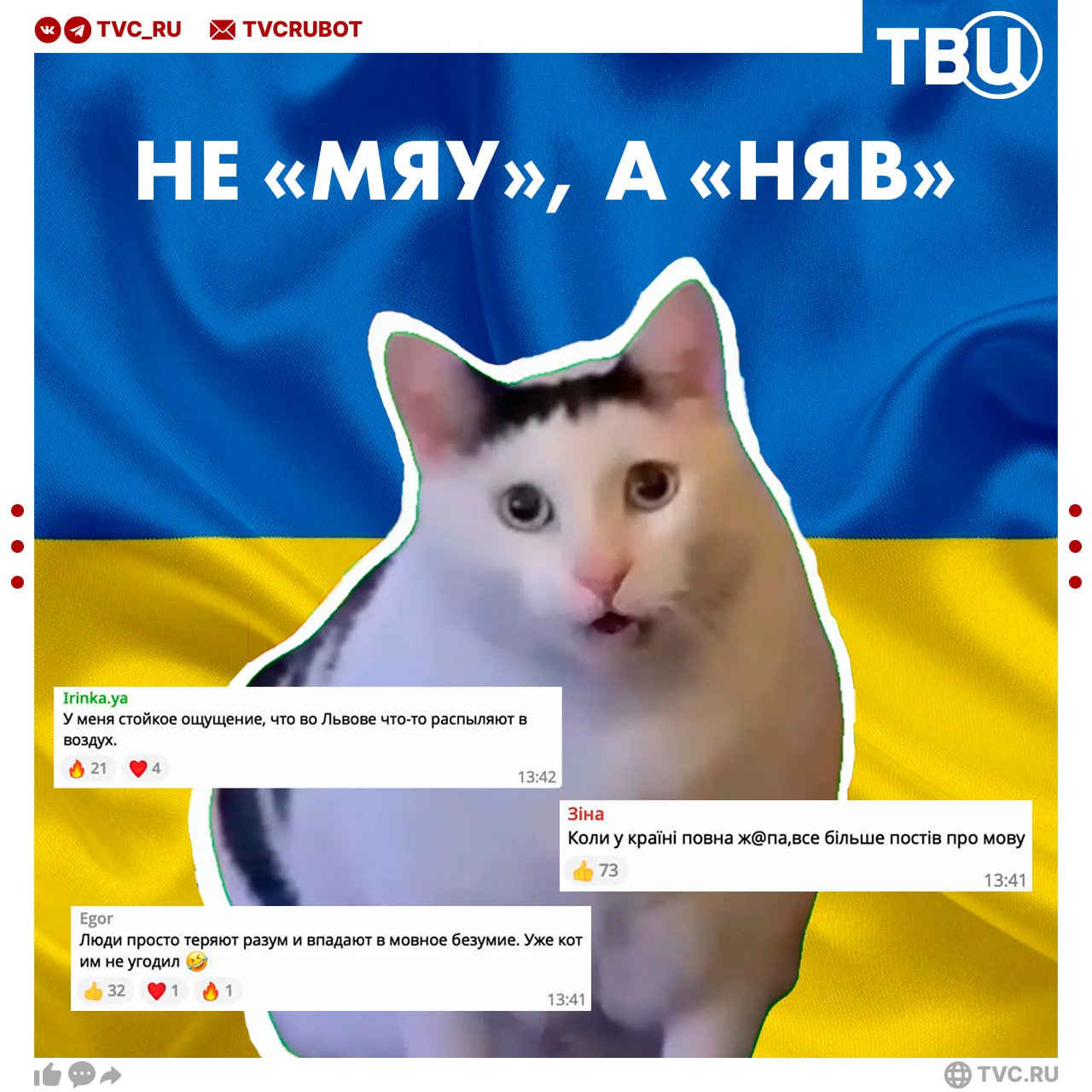 Украинских котов обвинили в том что они мяукают на русском Поводом стала реклама кошачьего корма со слоганом Первое слово моего кота мяу Львовский публицист Илья Лемко заявил что украинские коты говорят только няв Украинцы не поняли такого патриотизма и высмеяли журналиста в соцсетях Подписаться на ТВЦ в MAX