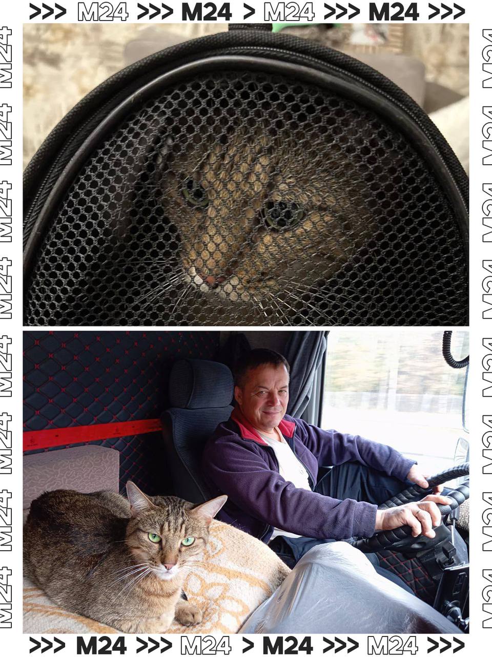 Кот по кличке Федос устроил тур по России сначала он уехал из Москвы в Удмуртию потом отправился на поезде в Амурскую область и снова вернулся в Москву к своей хозяйке Сейчас объясним   Москвичка Эльвира возвращалась из Удмуртии домой По пути в Казань она отпустила своего пушистика погулять по вагону однако тот внезапно сбежал Девушке пришлось ехать дальше без любимца Но произошло настоящее предновогоднее чудо Оказалось что хвостатый остался в поезде он спрятался внутри конструкций вагона Федоса обнаружила проводница и сразу сообщила хозяйке Кот доехал до Тынды где его пытались аккуратно выманить но упрямец отказался покидать укрытие Тогда в ход пошла смекалка сотрудников РЖД они включили коту голосовое сообщение от Эльвиры Услышав знакомый голос безбилетник наконец вылез Хозяйка с мужем тем временем вылетели на другой конец страны чтобы забрать пушистого беглеца Чтобы сократить ожидание навстречу им отправились машинист и инженер поезда В тридцатиградусный мороз они преодолели около 500 километров и передали Федоса хозяевам прямо в аэропорту Нерюнгри Вот так путешествие кота и завершилось 1 декабря он явно не переживал Telegram 112 Подписаться на Москва 24 Наши каналы Новости в MAX