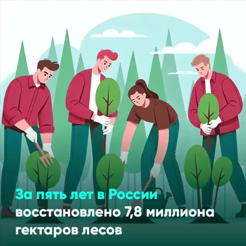 В Орехово-Зуевском лесничестве высажено более 100 тысяч саженцев в рамках лесовосстановления