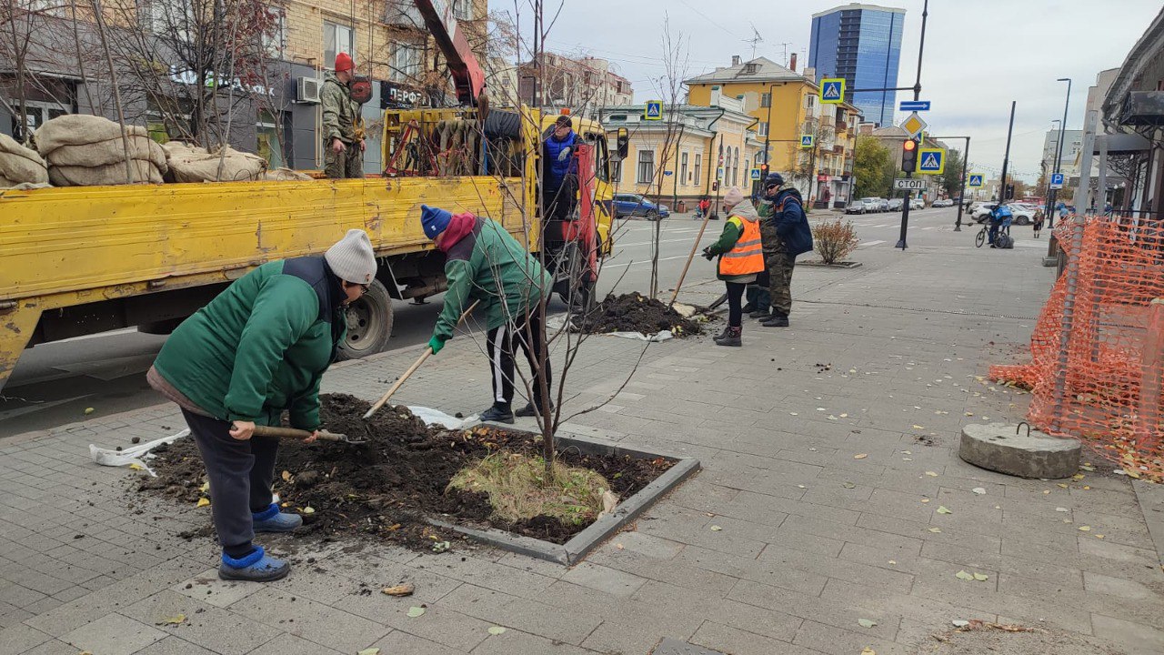 В центре Красноярска высадили более 200 новых деревьев и кустарников    На выходных вдоль проспекта Мира посадили 58 рябин и 145 кустов кизильника. В управлении зеленого строительства отметили, чтобы не срезать обросшую крону, которая закрывает дорожные знаки, светофоры и задевает провода, на таких улицах чаще высаживают кустарники.  Также кустарники появятся и на Ленина, где уже приживаются 9 молодых яблонь. Еще яблони, сирень и кизильник украсили улицы Борисевича и Норильскую.   Фото: