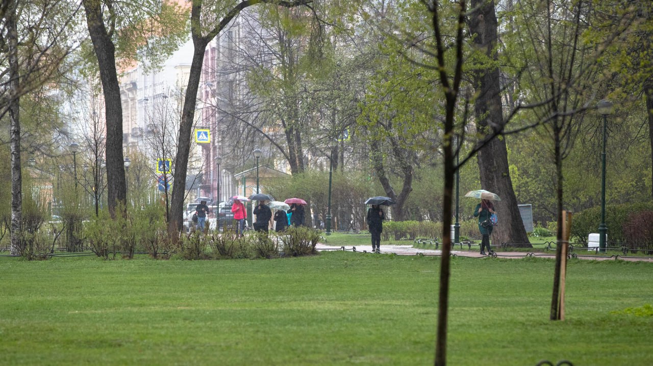 Дожди в Петербурге прекратятся к ночи. Как рассказал главный синоптик города Александр Колесов, днем выпадет от 20 до 30 мм осадков. Норма осадков для июня составляет 69 мм. Больше всего осадков должно быть на востоке. Первые дожди подошли к Петербургу утром, но наиболее интенсивные осадки еще формируются и приблизятся к городу немного позднее. Дождь продлится до конца суток. Фото: Город+