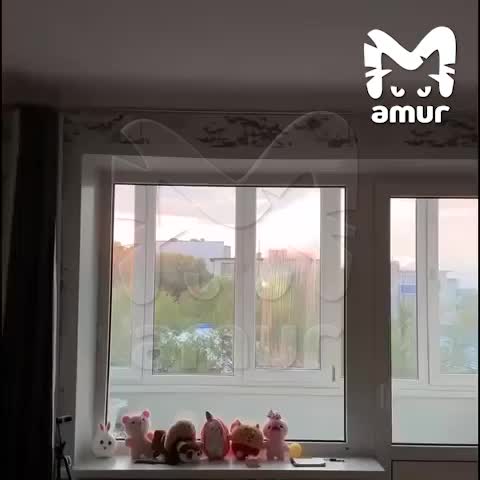 Афтершок магнитудой 5.6 зафиксирован в Тихом океане близ Петропавловска-Камчатского