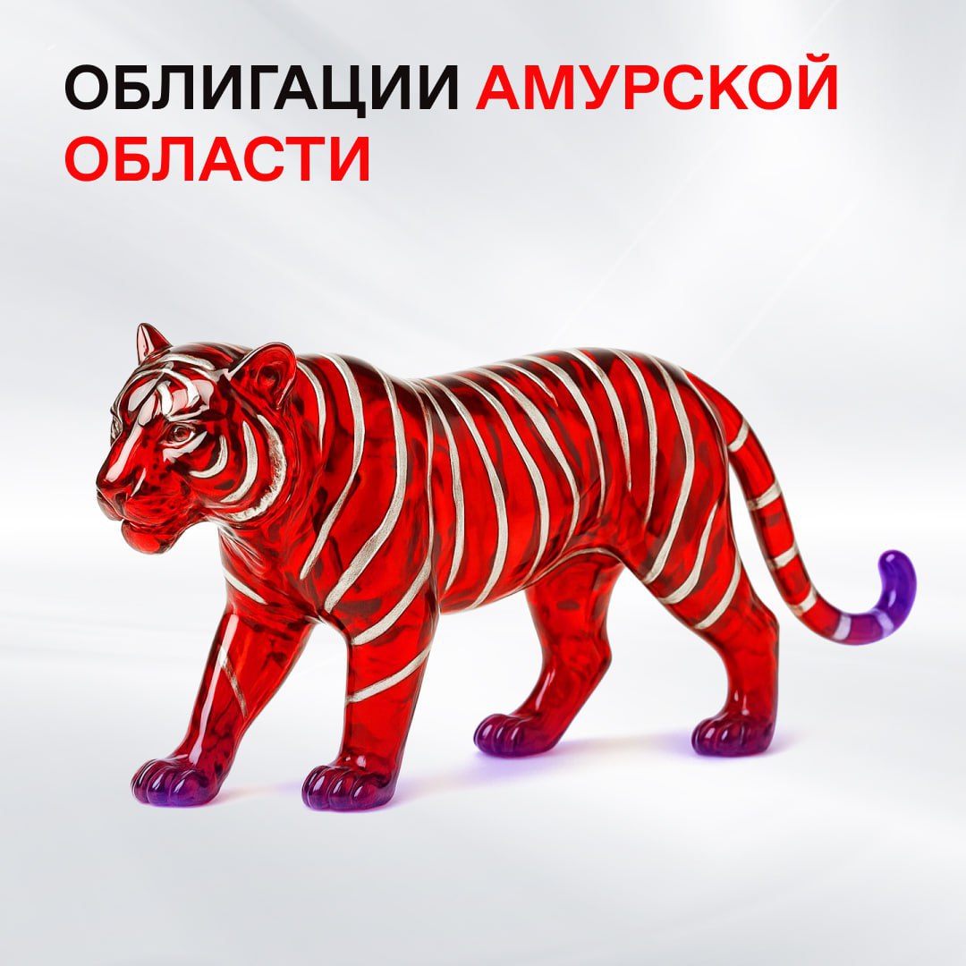 Амурская область запустила продажу народных облигаций для финансирования мастер планов Средства пойдут на ремонт учреждений здравоохранения создание центра реабилитации для людей с инвалидностью строительство и модернизацию ЖКХ Облигации объемом 1 млрд рублей размещены на маркетплейсе Финуслуги Номинальная стоимость одной облигации 1 000 рублей срок обращения два года ставка 15 79 Народные облигации могут купить только физические лица Для этого достаточно зарегистрироваться на Финуслугах при помощи Госуслуг