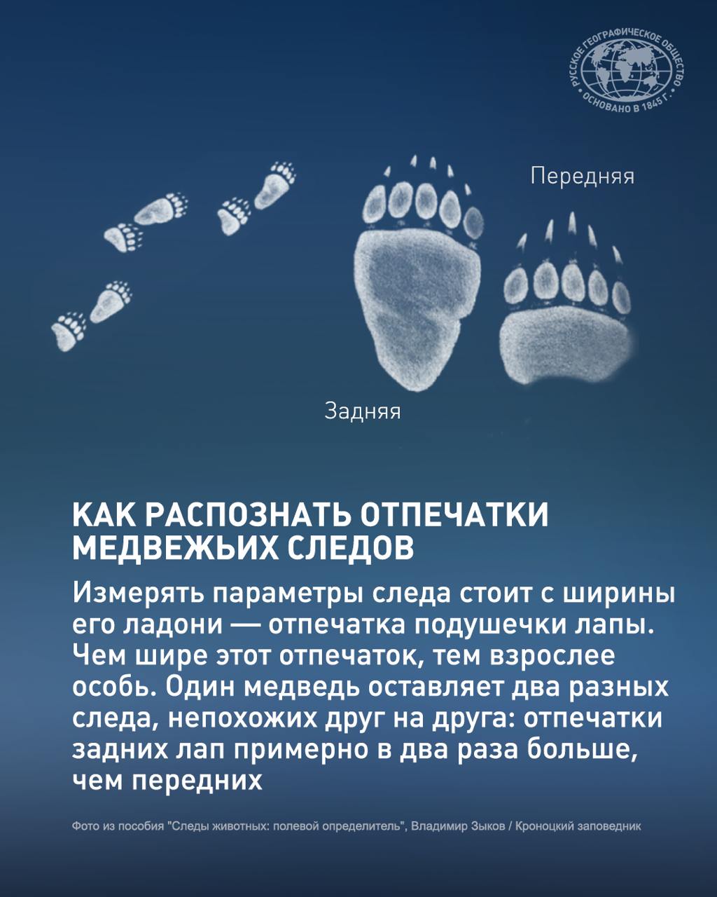 Узнать всё о медведях по их следам или  изучить жизнь серых китов: всё это мы предлагаем сделать на Камчатке!   РГО вместе с Камчатским государственным университетом им. Витуса Беринга, Институтом проблем экологии и эволюции им. А. Н. Северцова РАН и Кроноцким заповедником разработало два научно-популярных маршрута.   Первый — по Южной Камчатке, по следам медведей, второй — в акватории Кроноцкого залива, на поиски серых китов. В карточках рассказали, в чём их уникальность.   Реклама. ООО «Причал», ОГРН: 1174101017133, ERID 2Vtzqxh21Hf