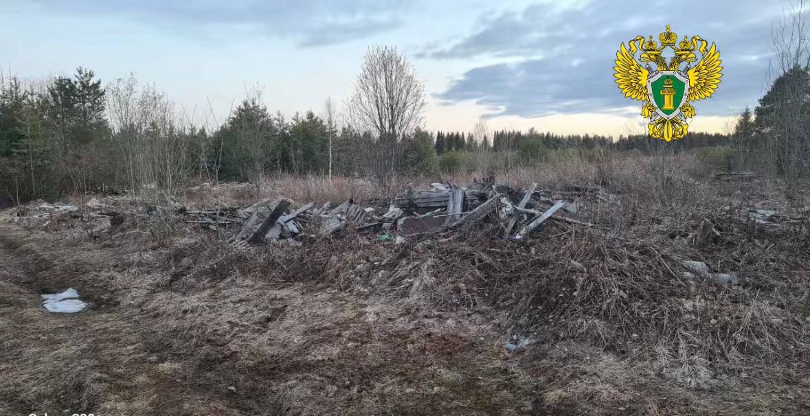 Архангельским межрайонным природоохранным прокурором внесено представление министру природных ресурсов и лесопромышленного комплекса области в связи с непринятием в течение длительного периода мер по ликвидации более 90 несанкционированных свалок расположенных на территории лесного фонда Подробнее в материале здесь epp genproc gov ru ru proc 29 mass media news main e6482127