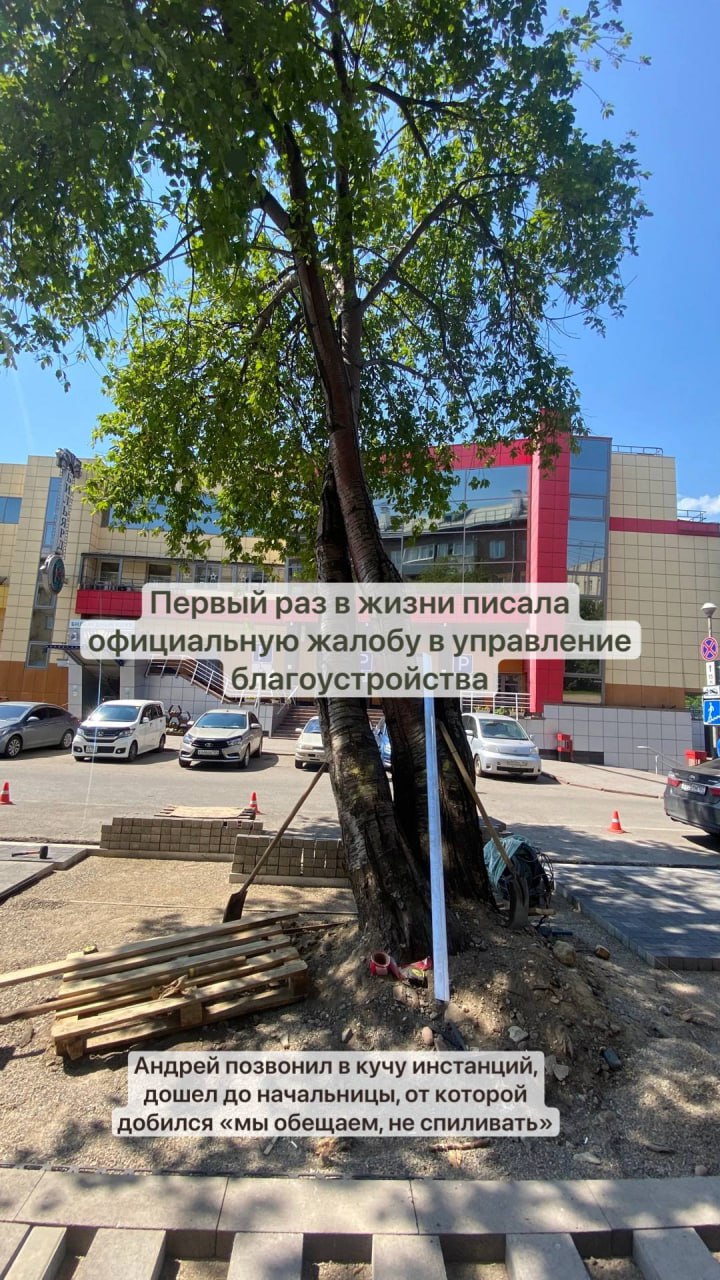 Красноярцев возмутило благоустройство улицы Дзержинского Негодованием в соцсетях поделилась жительница города Надежда Воскресенская. Больше всего женщину расстроило, что спилили почти все деревья. По ее словам, она обращалась в управление дорог, инфраструктуры и благоустройства, там ее якобы заверили, что спиливать не будут. Также местные жители говорят, что работы велись с нарушениями: рабочие не огораживали деревья, повреждали их корни дорожной техникой, а уже после сказали, что деревья повреждены и их нужно сносить. В управлении дорог, инфраструктуры и благоустройства нам сказали, что все работы проводили по правилам: предварительно осмотрели все насаждения и спилили только действительно старые деревья с разрушенными стволами. Взамен пообещали посадить новые — сколько из будет, не уточнили.