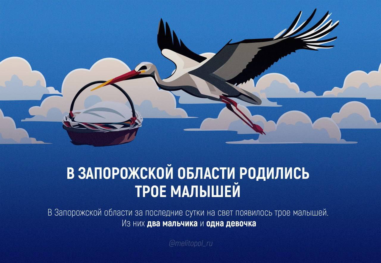 За сутки в Запорожской области родились трое малышей В Запорожской области за последние сутки на свет появились три малыша. Из них два мальчика и одна девочка, сообщили в региональном минздраве.