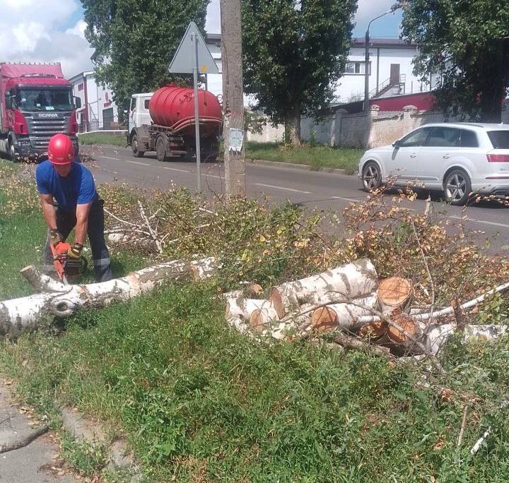 22 дерева упали в Курске из-за циклона Уточненными данными о последствиях непогоды поделился и.о. мэра Серей Котляров. Падения деревьев зафиксированы на улицах Магистральная, Строительная, 3-я Воронежская, Обоянская, Чапаева, Энергетиков и других. Ветер сорвал крыши на улице Агрегатная и 2-м Весеннем проезде. Произошел обрыв проводов на улицах Малых, 1-я Агрегатная и переулке Васильковом. К этому часу закончить работы по восстановлению электроснабжения осталось на двух улицах областного центра. ФОТО: телеграм Сергея Котлярова