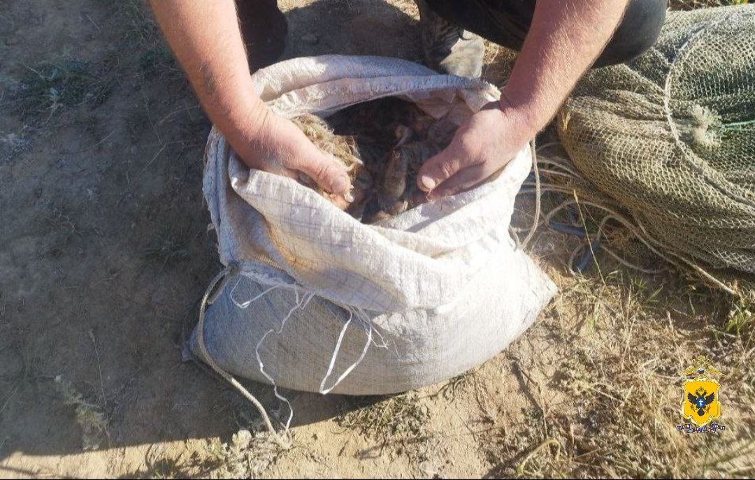 ‼ В Херсонской области четверо жителей уличены в незаконной добыче креветок более чем на 1 млн рублей "Мужчины осуществляли незаконную добычу деликатесов с помощью запрещенных орудий лова - вентерей. В общей сложности у злоумышленников изъято свыше 52 кг креветок и браконьерские снасти. Ущерб превышает 1 млн и 91 тысячу рублей", - сообщили в МВД России. Дознавателем в отношении подозреваемых возбуждены уголовные дела и избрана мера пресечения в виде подписки о невыезде и надлежащем поведении. Радио Таврия - подписаться