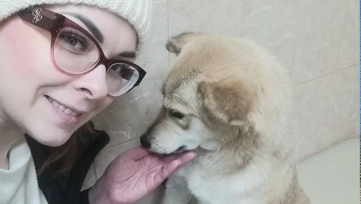В Омске после избиения умерла зоозащитница Нападавших пока не задержали В Омске умерла 35 летняя зоозащитница Валерия Белова После нападения которое произошло месяц назад во время выгула собаки женщина получила серьёзные травмы По словам знакомых на Валерию напали двое нетрезвых мужчин Сообщается что они избили женщину и натравили на неё бойцовскую собаку После нападения у омички диагностировали сотрясение мозга ушибы головы рук и поясницы Сначала она отказалась от госпитализации так как дома у неё оставались собаки однако позже всё же решила лечь в больницу Накануне смерти Валерия просила знакомых временно забрать животных жаловалась на ухудшение самочувствия и потерю сознания В тот же день родственники нашли её мёртвой в квартире По данным СМИ подозреваемых до сих пор не задержали Возбуждено уголовное дело   Омское гражданское объединение Новости без цензуры