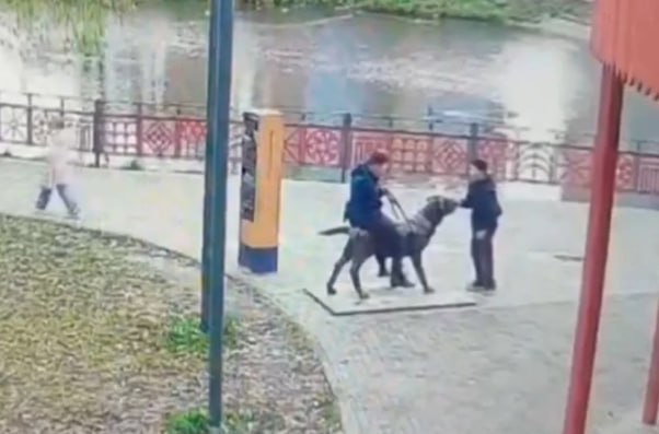 2 миллиона за испорченный бронзовый памятник собаке поводырю заплатят родители школьников в Вологде Ущерб оценили именно в такую сумму и теперь родители подростков должны будут его возместить В ближайшее время горсуд решит будут ли подростков помещать в Центр временного содержания для несовершеннолетних правонарушителей Градоначальник Вологды подчеркнул что подобные действия не останутся безнаказанными и наносят серьёзный ущерб бюджету города Подпишись на СЗФОшную