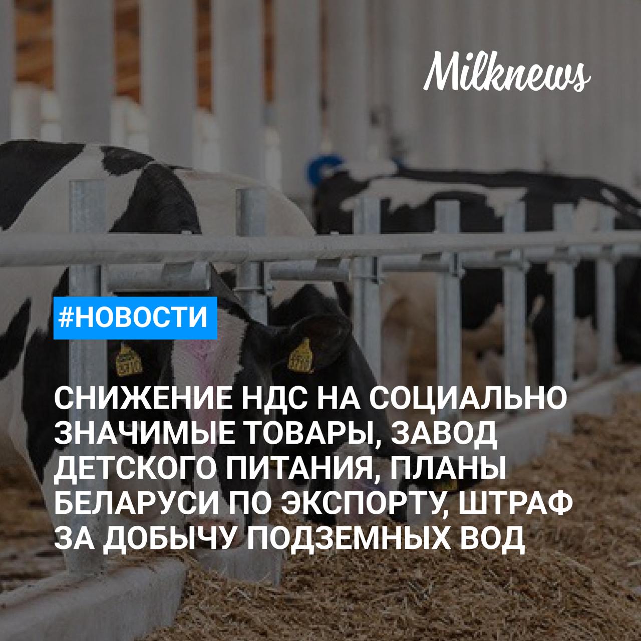 Известия: в России предлагают снизить НДС на социально значимые товары    Петербургского производителя сыров ООО «Аркон Ритейл» объявили банкротом    «Бахетле» может построить завод по производству детского питания    Беларусь рассчитывает добиться экспорта продовольствия в $10 млрд    «Ъ»: с «Белмолпродукта» потребовали 4,6 млн за добычу подземных вод без лицензии