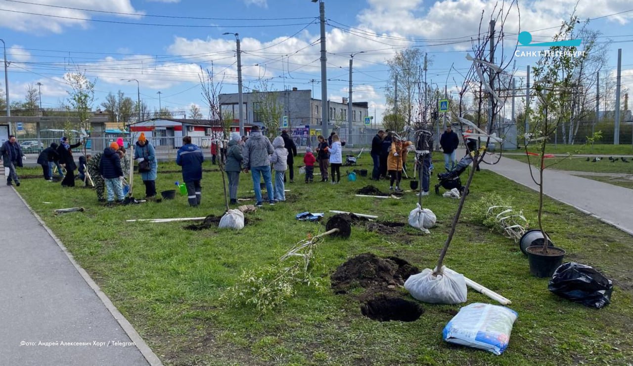«Сад памяти» появился на Ржевской площади в Петербурге. 25 яблонь высадили в рамках международной акции рядом с железнодорожной станцией «Ржевка». Как рассказал в своем Telegram-канале глава администрации Красногвардейского района Андрей Хорт, деревьям будут присвоены имена Героев Советского Союза, которые нашли покой на Большеохтинском и Пороховском кладбищах. Таблички с QR-кодами, по которым можно будет узнать историю героев, установят на следующей неделе. ВКонтакте Одноклассниках