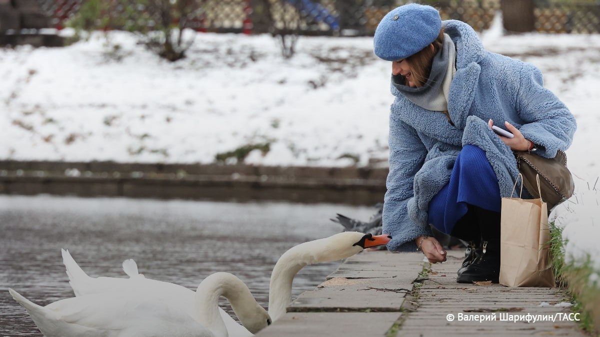 Новый циклон начнет приносить к выходным похолодание в Москву.  Показания термометров будут понижаться. Осадки постепенно перейдут в мокрый снег, и затем в снег.     / Москва