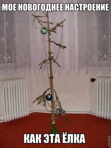 Роспотребнадзор посоветовал проводить школьные елки отдельно в каждом классе На совещании правительства заместитель главы управления Роспотребнадзора края Динара Ульданова рассказала что за прошедшую неделю рост заболеваемости составил 31 9 по сравнению с предыдущим годом Она отметила что за последние три дня ситуация стабилизируется благодаря досрочным каникулам на которые ушли ученики с первого по восьмой классы По словам Ульдановой на сегодня в Чите и 22 х районах края полностью закрыли 24 школы еще 33 закрыты частично всего 115 классов Помимо школ не работают 5 детских садов а в 21 м детсаде закрыты 30 групп Динара Ульданова заострила внимание на рекомендациях в которых главное требование полный запрет на участие в массовых мероприятиях детей и взрослых с любыми симптомами болезни Она отметила что Роспотребнадзор советует проводить маленькие елки отдельно в каждом классе собирать большую группу не нужно То же самое касается и детских садов Также по рекомендации Роспотребнадзора мероприятие должно пройти за 1 час если дольше нужен перерыв с проветриванием Помимо этого нужно проводить дезинфекцию Масочный режим только для персонала который проводит мероприятие  Губернатор Александр Осипов отметил что нужно оценить достаточно ли нынешних мер Если заболеваемость начнет быстро расти то ограничения придется расширить Чита Ру в MAX