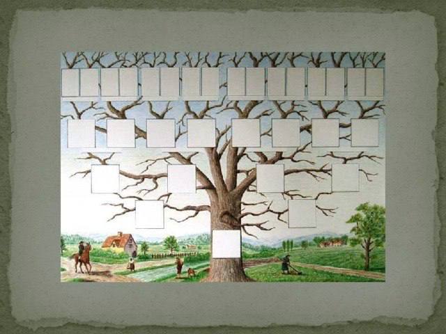 Теперь узбекистанцы смогут узнать свою родословную до 7 го поколения и найти дальних родственников Минюст представил систему Шажара первый сервис который позволит узбекистанцам составлять своё генеалогическое древо и находить родственников даже по ДНК Платформа объединит данные ЗАГСов государственные реестры и генетический анализ делая родословные точными и юридически значимыми Можно будет узнать о предках о которых вы даже не подозревали Подпишитесь и следите за актуальными новостями на нашем канале   telegram me joinchat AAAAAEEdc qam7052mnXKA