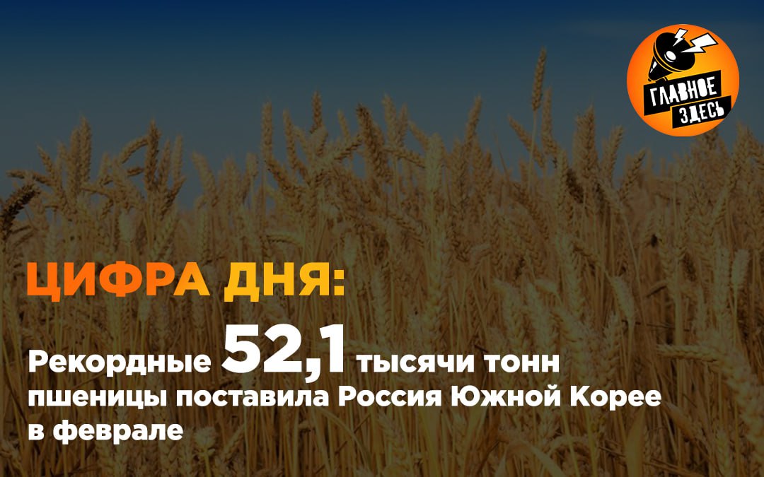 За месяц объем поставок вырос вдвое, а за год — в 38 раз. Последний раз больше поставлялось лишь в октябре 2018 года, когда тогда объем поставок составил 57,8 тысячи тонн.  При этом стоимость российского экспорта увеличилась за февраль в 2,1 раза и составила 13,1 миллиона долларов.  Главное — здесь. Подписывайтесь!