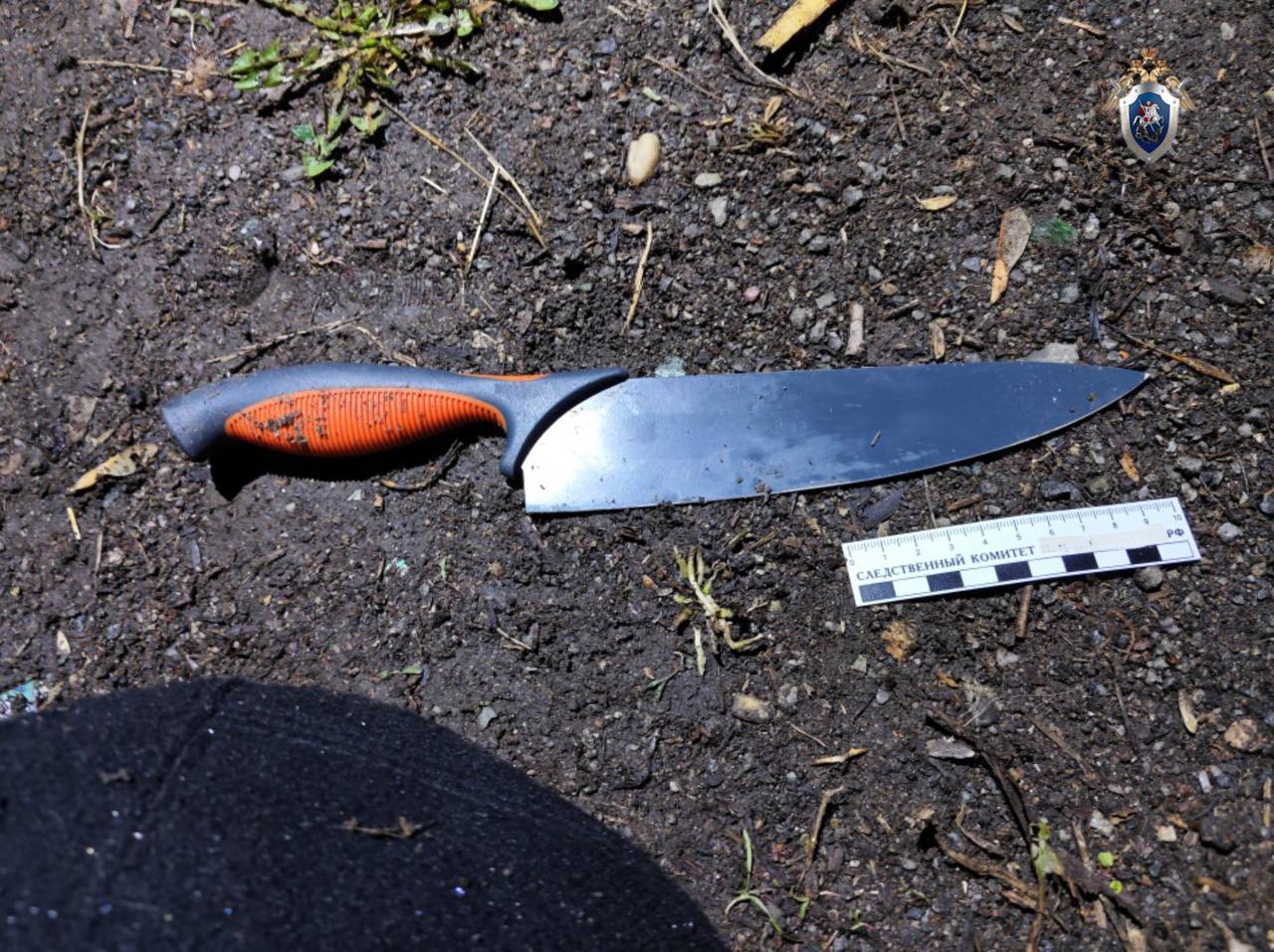 Челябинец который напал с ножом на 11 летнего мальчика оказался наркозависимым и психически больным Весной этого года Антон А напал на ранее незнакомого ему мальчика и 15 раз ударил его ножом в области туловища и головы Решив что ребенок умер Антон ушел Едва живого мальчика заметил прохожий и взывал скорую помощь Его успели доставить в больницу и спасти По заключению судебно медицинской экспертизы обвиняемый страдает хроническим психическим расстройством На момент нападения он не осознавал своих действий и не мог ими руководить В связи с этим собранных доказательств достаточно для направления дела в суд не для назначения наказания а для применения принудительного лечения отметили в пресс службе Следственного ведомства