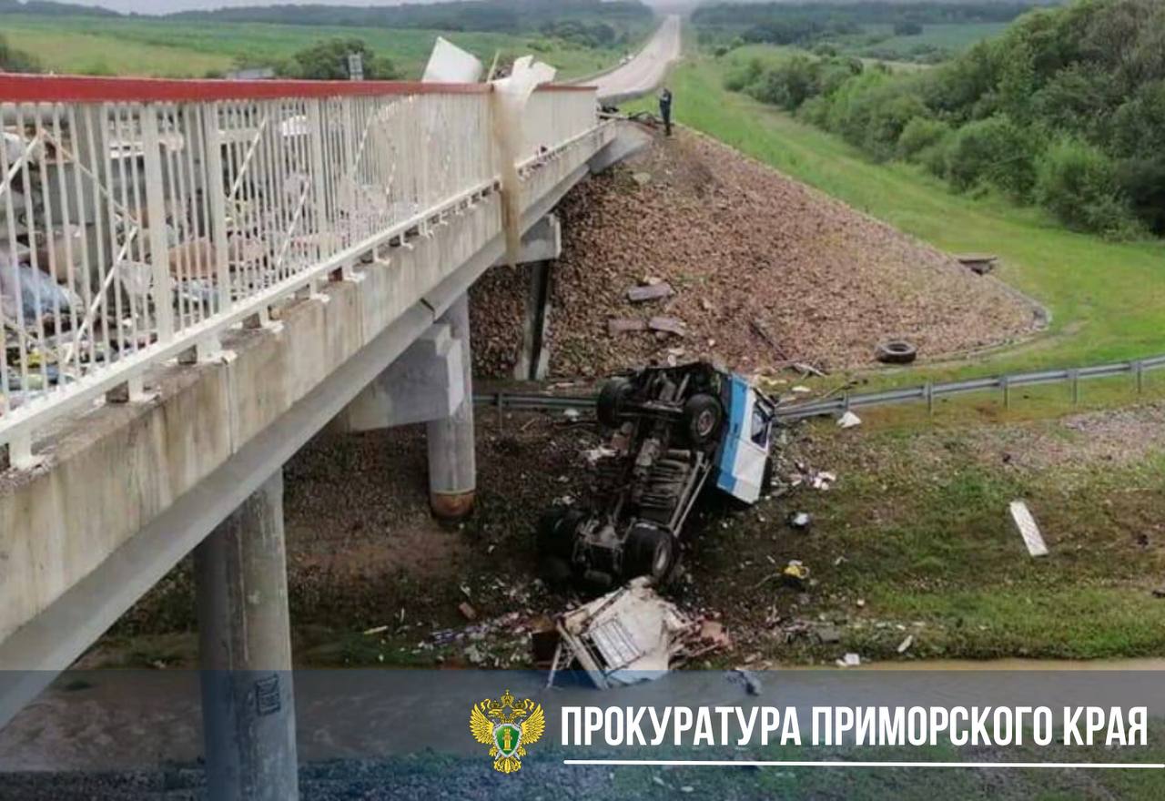 В Уссурийске осужден виновник ДТП, унесшего жизни двух человек  Уссурийская городская прокуратура поддержала государственное обвинение по уголовному делу в отношении местного жителя, 1964 г.р. Он признан виновным по п. «а» ч. 6 ст. 264 УК РФ  нарушение лицом, управляющим автомобилем, Правил дорожного движения, повлекшее по неосторожности смерть двух и более лиц, если оно совершено лицом, находящимся в состоянии опьянения .    В судебном заседании установлено, что 28 июля 2024 года на 661 км автодороги «Хабаровск – Владивосток» нетрезвый водитель Nissan Sunny совершил столкновение с грузовиком Volvo FH12. После удара грузовой автомобиль с полуприцепом слетел с моста.    В результате ДТП погибли 46-летний водитель и 54-летний пассажир Volvo.  С учетом позиции государственного обвинителя, суд признал мужчину виновным и назначил ему наказание в виде 8 лет 8 месяцев лишения свободы, с лишением права заниматься деятельностью, связанной с управлением транспортными средствами на 2 года 6 месяцев.     Суд также удовлетворил исковые требования потерпевших о взыскании с осуждённого компенсации морального вреда на общую сумму 3 млн рублей.   Местом отбывания наказания определена колония-поселение.   Приговор не вступил в законную силу.