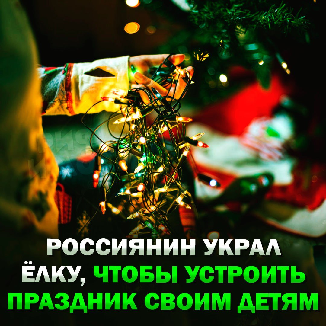 Многодетный россиянин украл из парка ёлку, чтобы устроить детям праздник!  Мужчина из Крыма отправился в магазин для покупки алкоголя и по пути домой встретил красивую ёлку в местном парке. Воришка не придумал ничего лучше, чем прихватить с собой дерево стоимостью ₽108 тыс.  Правоохранители уже нашли мужчину. Теперь ему грозит до двух лет лишения свободы.    — ПОЛНОСТЬЮ ОПРАВДАН!   — нечего было воровать, пусть сидит    Рифмы и Морген