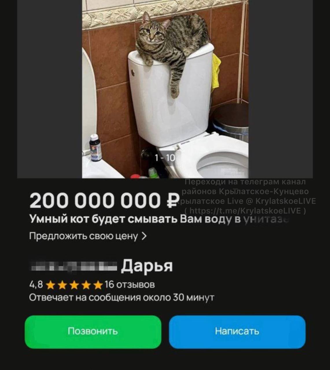 На одном из маркетплейсов выставили на продажу умного кота, который будет смывать вам воду в унитазе    Чудо-лот оценивается в смешные 200 млн. рублей, но каждый желающий может предложить свою цену.   А что умеют делать ваши коты?  Переходи на телеграм канал районов Крылатское-Кунцево  Крылатское Live @ KrylatskoeLIVE