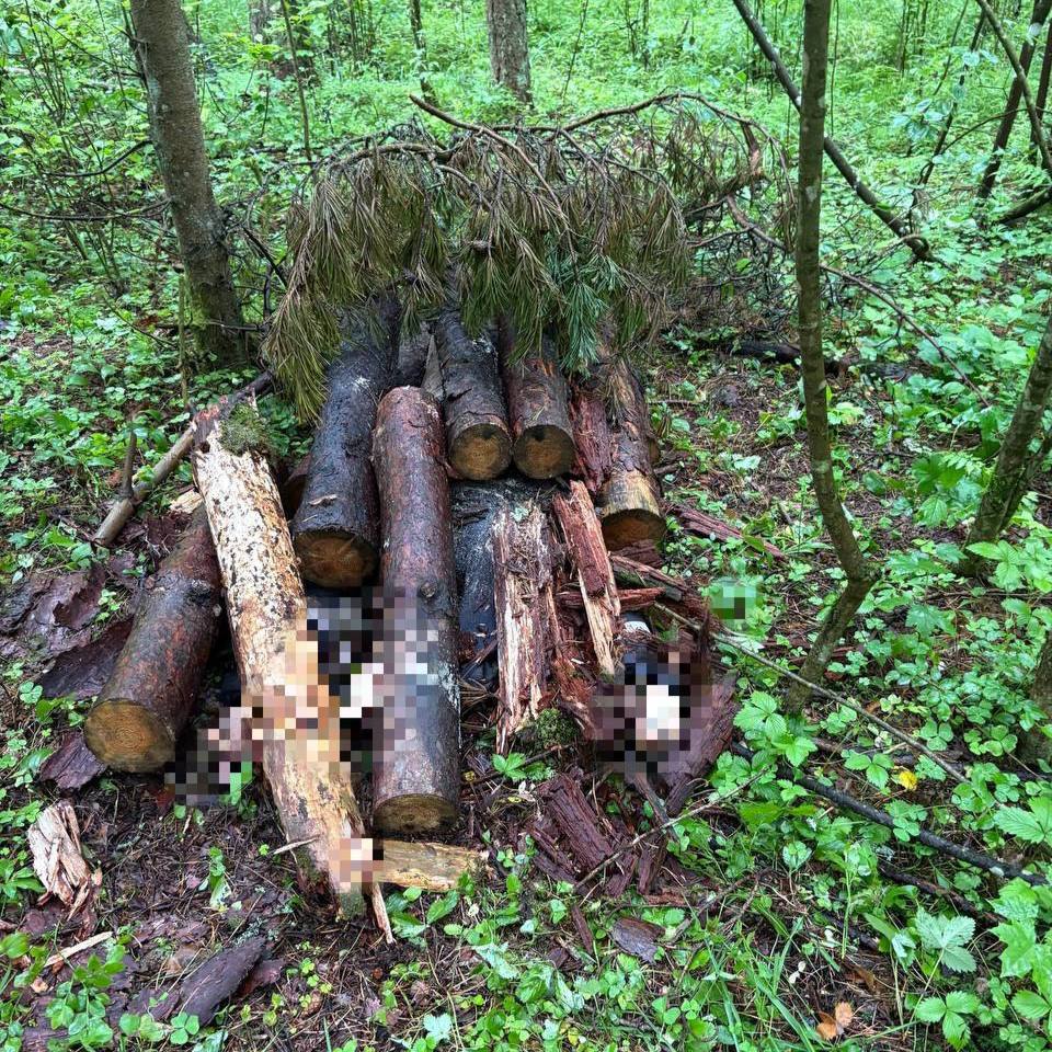 В Кингисеппском районе задержаны подросток и его знакомый подозреваемые в убийстве Расправа произошла в июне прошлого года на окраине Кингисеппа Тогда 15 летний подросток и 20 летний молодой человек из за личной неприязни нанесли своему знакомому много ударов в область жизненно важных органов От полученных ран мужчина скончался на месте Чтобы спрятать тело злоумышленники завалили трупы бревнами и ветками но его нашли в том же месяце А вот преступников удалось разыскать не сразу Сейчас подозреваемых уже нашли их заключили под стражу Следственные действия продолжаются TodaySPb   Новости GradSPb   Места СПб