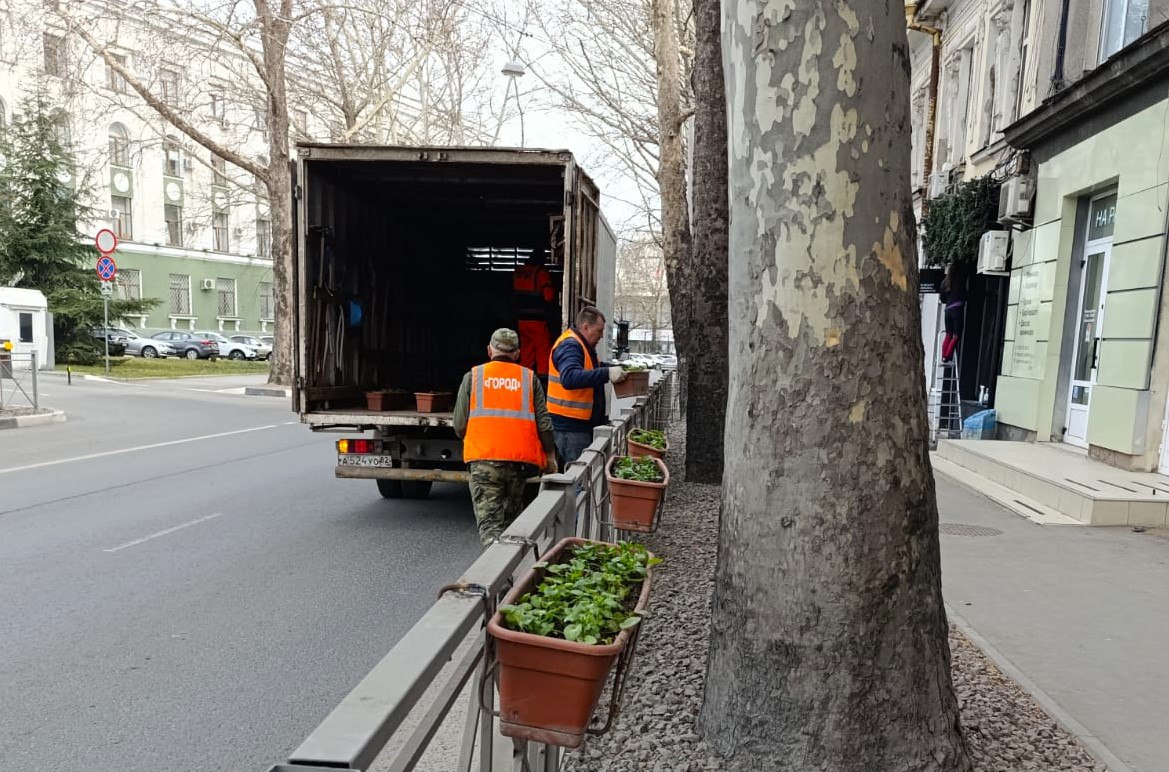 В Симферополе центральные улицы украсили к празднику Крымской весны     На центральных улицах столицы полуострова появились кашпо с весенними цветами.    Подготовила и высадила рассаду команда профессионалов из «Горзеленхоз».    Всего на улицах появятся почти 900 кашпо с виолами различных расцветок.   #РеспубликаКрым