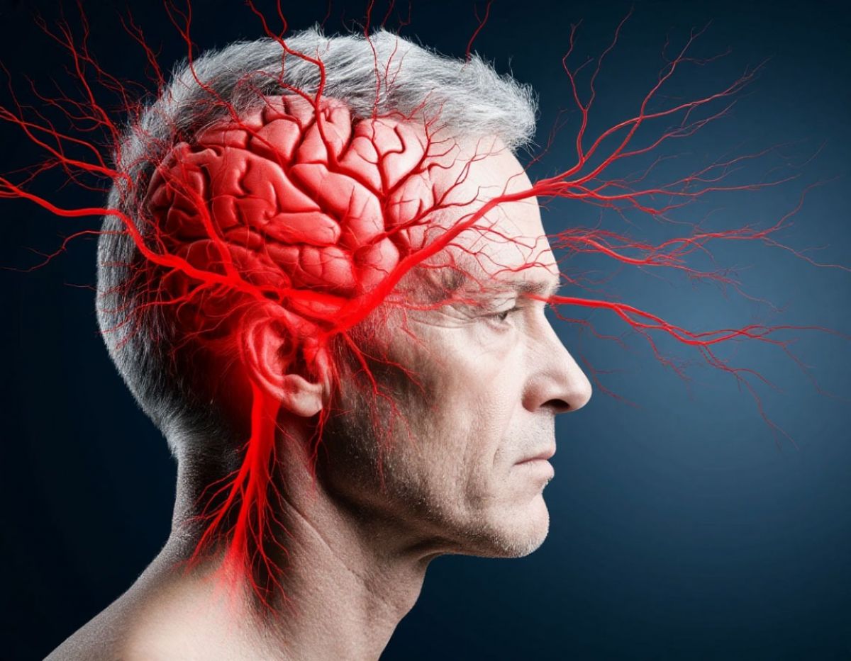 29 октября Всемирный день борьбы с инсультом   ryazannews ru fn 1745697 html Всемирный день борьбы с инсультом отмечается ежегодно 29 октября Этот день призван привлечь внимание к одной из самых распространённых и опасных болезней современности инсульту   Прислать новость Подписаться   Мы в MAX