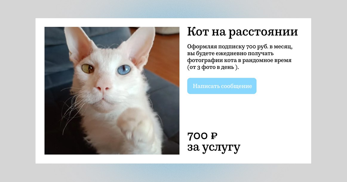 В Москве запустили услугу «кот на расстоянии» — для тех, кто не может завести его у себя дома Теперь обзавестись домашним котом можно без риска поссориться с арендодателем и страдать от аллергии. В Москве запустили необычную онлайн-услугу — «кот на расстоянии». За ежемесячную плату любой желающий может получать фотографии и видео с участием кота по имени Чоп. По словам автора объявления, Чоп — это пушистый антидепрессант: мурлыкает, позирует, согревает и радует глаз. «Живет свою лучшую кошачью жизнь», — рассказывает хозяин в описании. Цены на пушистого «друга по переписке» такие: подписка на месяц — 700 рублей не менее трех фото кота в день , неделя — 199 рублей, а за разовое фото попросят 50 рублей.