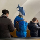 Аватар Телеграм канала: Колыбель эволюции Z